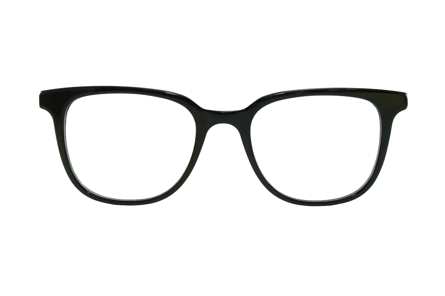 Vulk Activist BIO 13